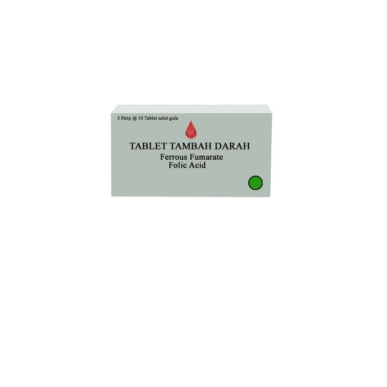 Tablet Tambah Darah 10 Tablet