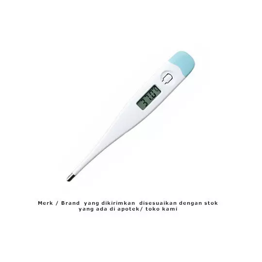 Thermometer Digital